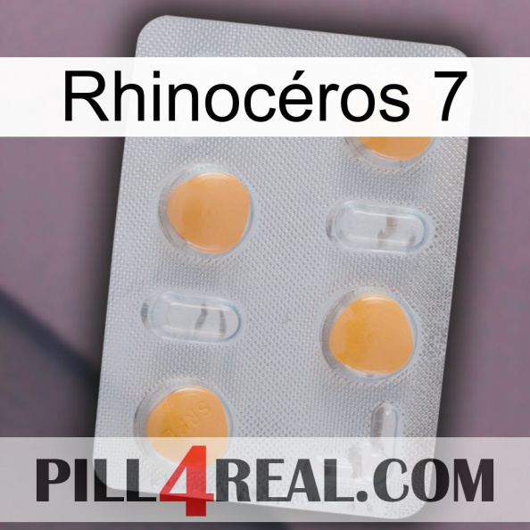 Rhinocéros 7 24.jpg